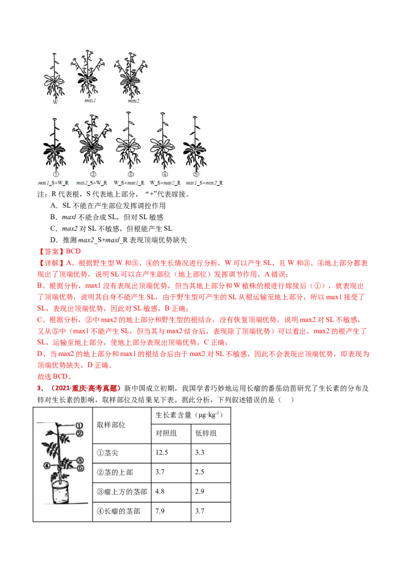 五年（2021-2025）全国高考生物真题分类汇编专题17植物激素的调节（全国通用）（解析版）_高考真题分类汇编_高考生物真题分类汇编（全国通用）五年（2021-2025）