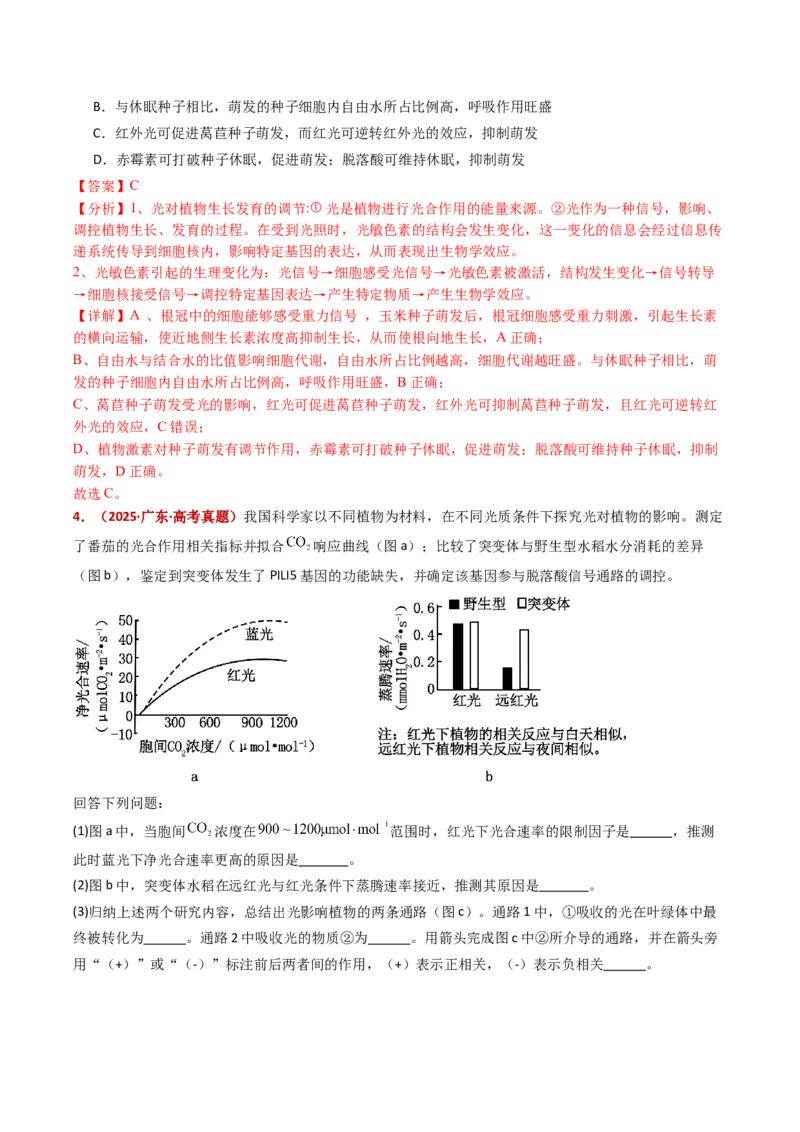 五年（2021-2025）全国高考生物真题分类汇编专题17植物激素的调节（全国通用）（解析版）_高考真题分类汇编_高考生物真题分类汇编（全国通用）五年（2021-2025）