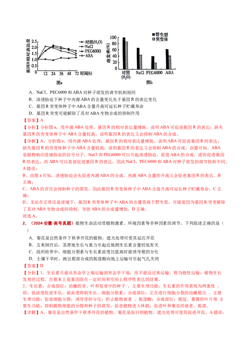 五年（2021-2025）全国高考生物真题分类汇编专题17植物激素的调节（全国通用）（解析版）_高考真题分类汇编_高考生物真题分类汇编（全国通用）五年（2021-2025）