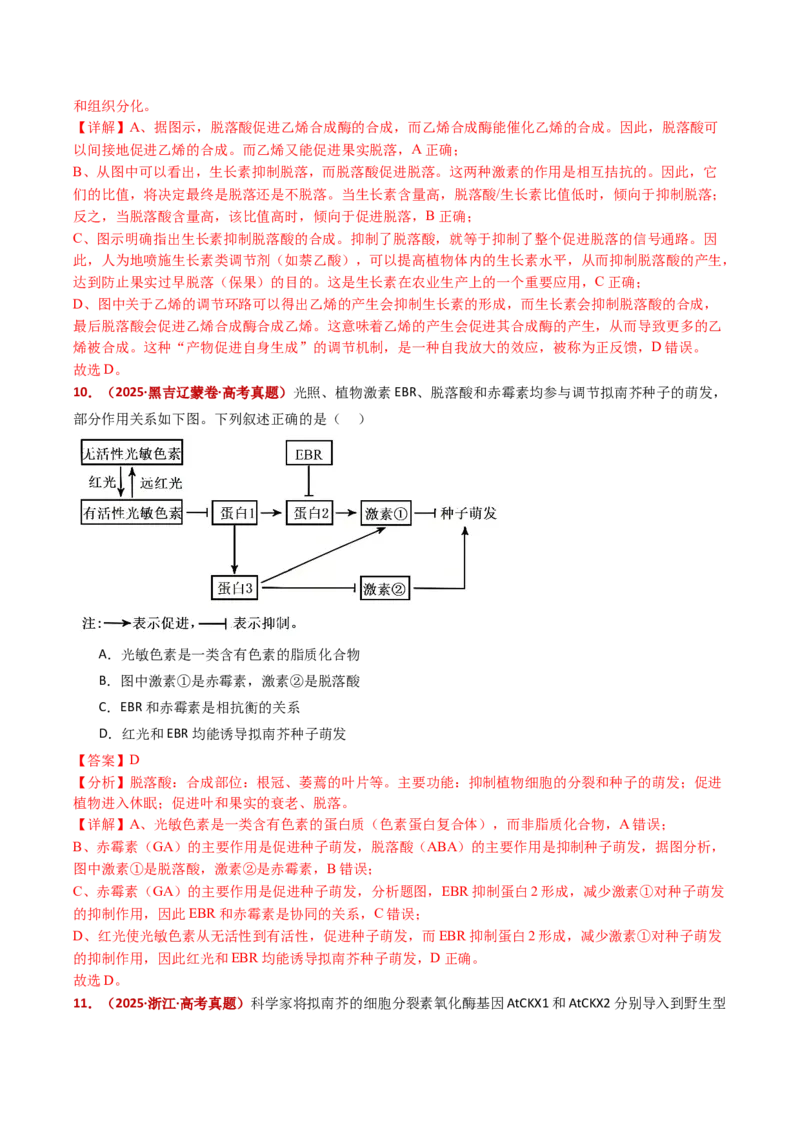 五年（2021-2025）全国高考生物真题分类汇编专题17植物激素的调节（全国通用）（解析版）_高考真题分类汇编_高考生物真题分类汇编（全国通用）五年（2021-2025）
