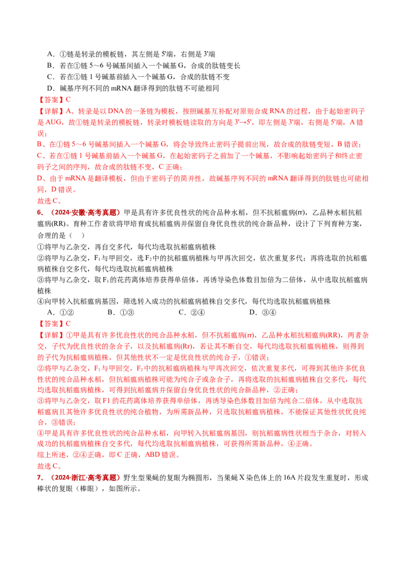 五年（2021-2025）全国高考生物真题分类汇编专题12变异、育种与进化（全国通用）（解析版）_高考真题分类汇编_高考生物真题分类汇编（全国通用）五年（2021-2025）