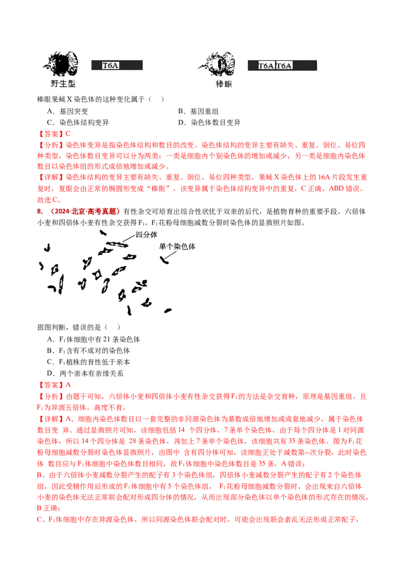 五年（2021-2025）全国高考生物真题分类汇编专题12变异、育种与进化（全国通用）（解析版）_高考真题分类汇编_高考生物真题分类汇编（全国通用）五年（2021-2025）
