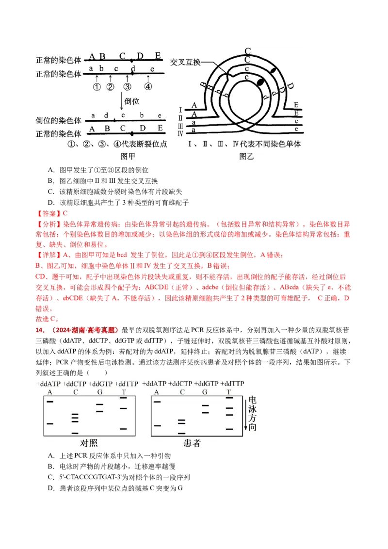 五年（2021-2025）全国高考生物真题分类汇编专题12变异、育种与进化（全国通用）（解析版）_高考真题分类汇编_高考生物真题分类汇编（全国通用）五年（2021-2025）