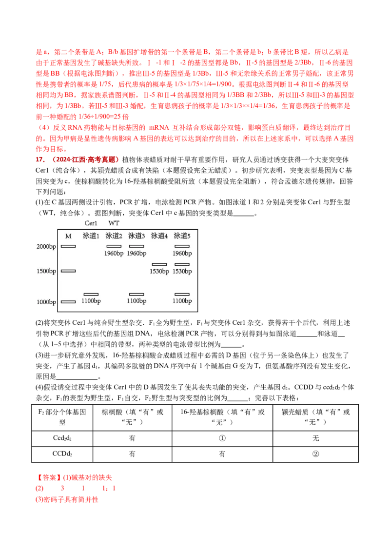 五年（2021-2025）全国高考生物真题分类汇编专题12变异、育种与进化（全国通用）（解析版）_高考真题分类汇编_高考生物真题分类汇编（全国通用）五年（2021-2025）