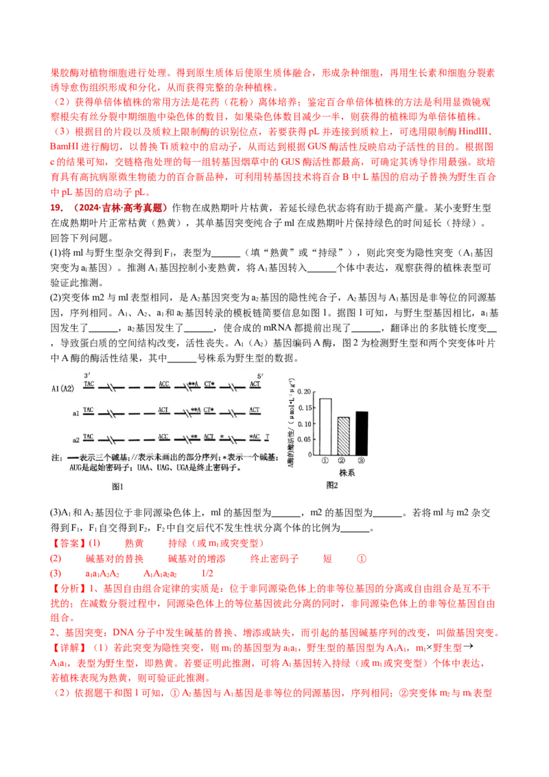 五年（2021-2025）全国高考生物真题分类汇编专题12变异、育种与进化（全国通用）（解析版）_高考真题分类汇编_高考生物真题分类汇编（全国通用）五年（2021-2025）
