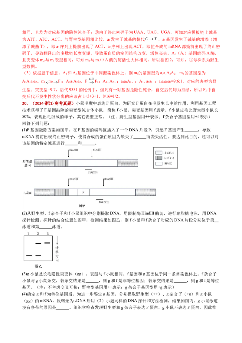 五年（2021-2025）全国高考生物真题分类汇编专题12变异、育种与进化（全国通用）（解析版）_高考真题分类汇编_高考生物真题分类汇编（全国通用）五年（2021-2025）