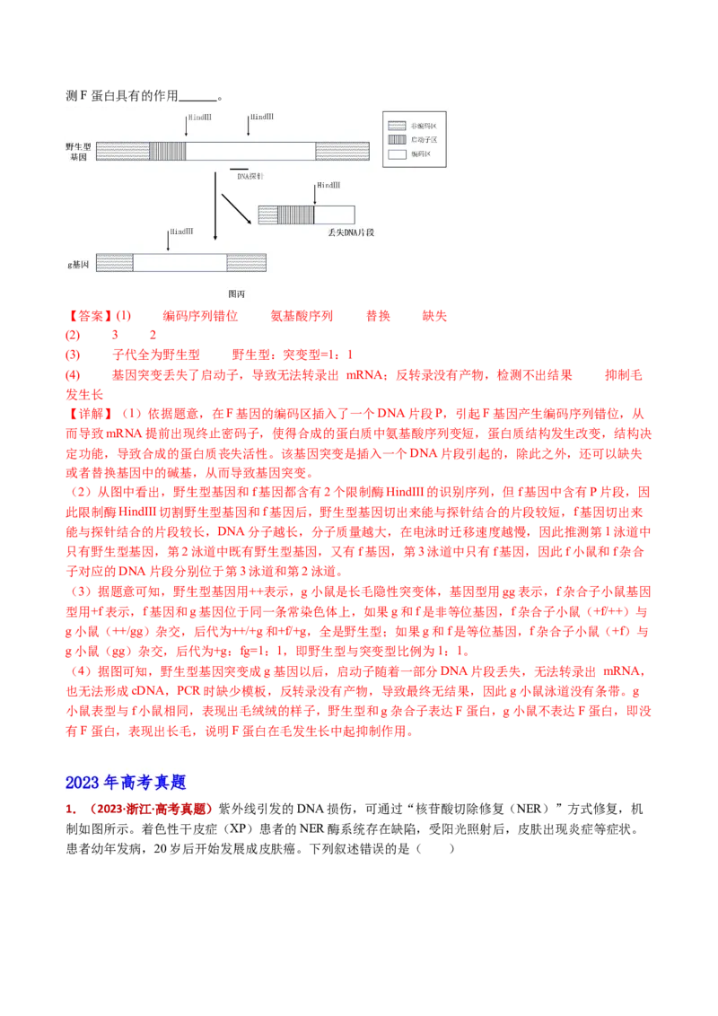 五年（2021-2025）全国高考生物真题分类汇编专题12变异、育种与进化（全国通用）（解析版）_高考真题分类汇编_高考生物真题分类汇编（全国通用）五年（2021-2025）