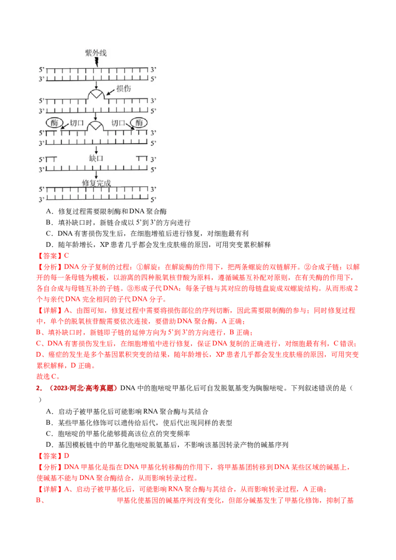 五年（2021-2025）全国高考生物真题分类汇编专题12变异、育种与进化（全国通用）（解析版）_高考真题分类汇编_高考生物真题分类汇编（全国通用）五年（2021-2025）