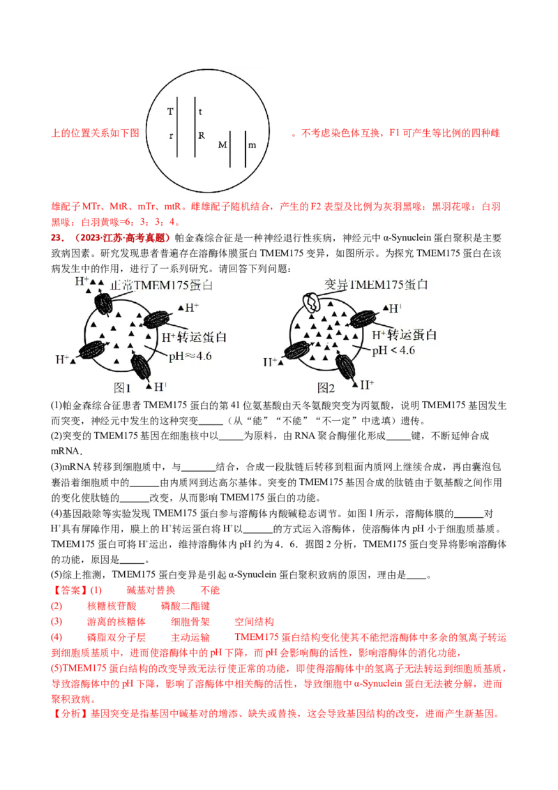 五年（2021-2025）全国高考生物真题分类汇编专题12变异、育种与进化（全国通用）（解析版）_高考真题分类汇编_高考生物真题分类汇编（全国通用）五年（2021-2025）