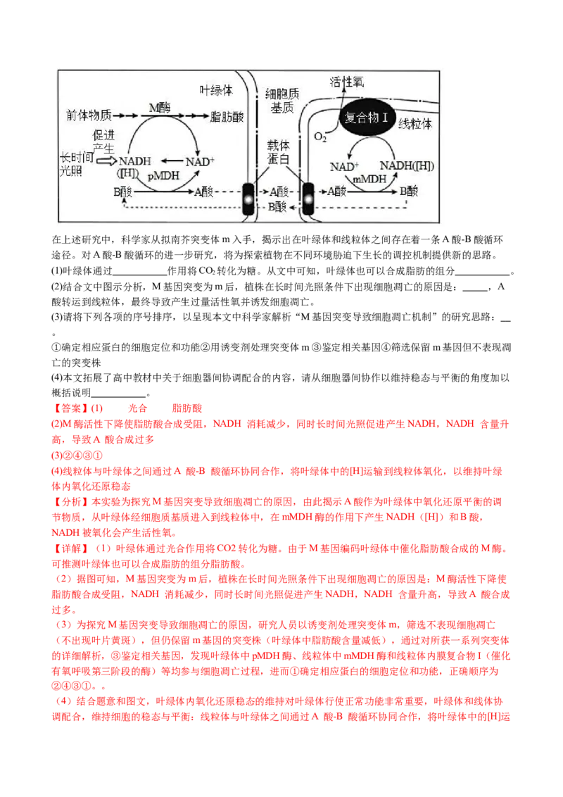 五年（2021-2025）全国高考生物真题分类汇编专题12变异、育种与进化（全国通用）（解析版）_高考真题分类汇编_高考生物真题分类汇编（全国通用）五年（2021-2025）