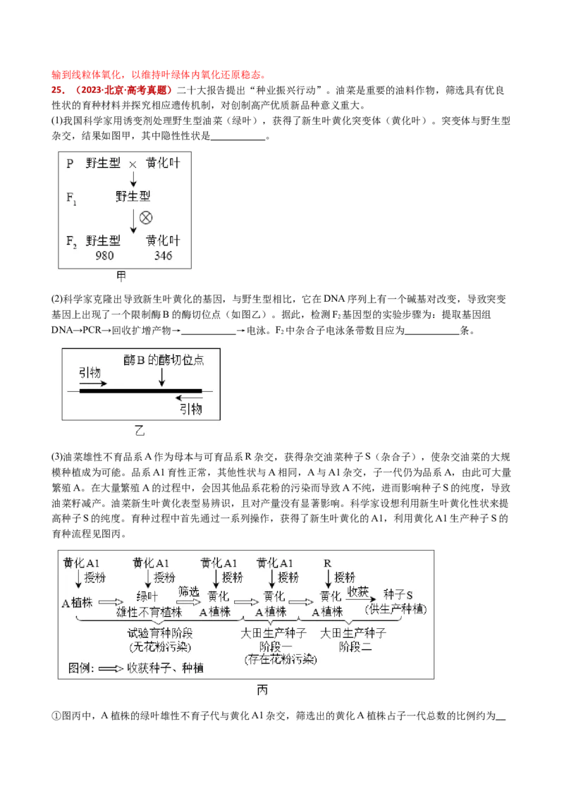 五年（2021-2025）全国高考生物真题分类汇编专题12变异、育种与进化（全国通用）（解析版）_高考真题分类汇编_高考生物真题分类汇编（全国通用）五年（2021-2025）