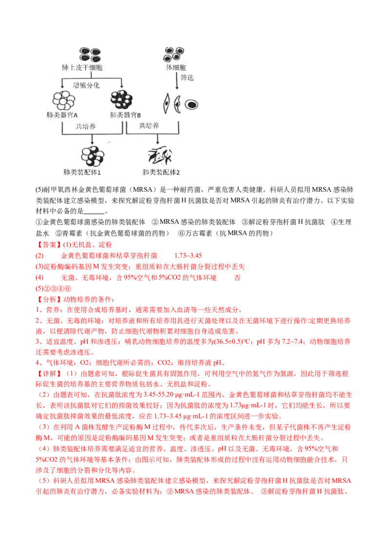 五年（2021-2025）全国高考生物真题分类汇编专题12变异、育种与进化（全国通用）（解析版）_高考真题分类汇编_高考生物真题分类汇编（全国通用）五年（2021-2025）