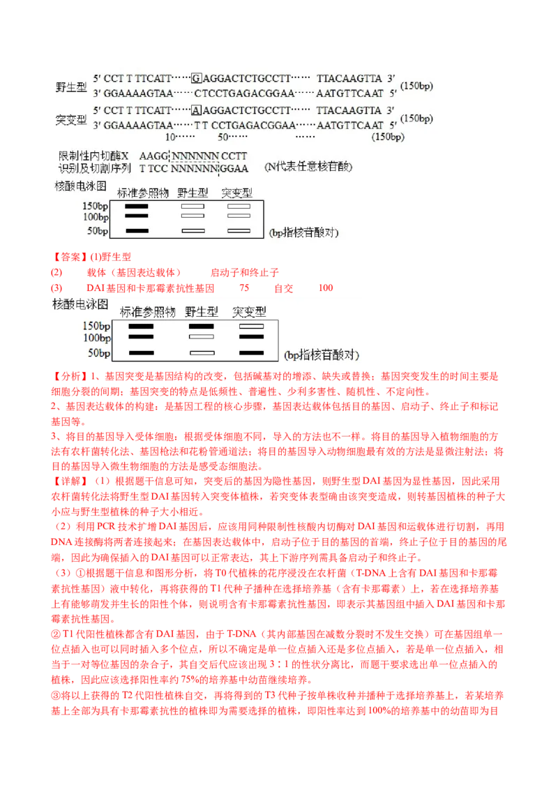 五年（2021-2025）全国高考生物真题分类汇编专题12变异、育种与进化（全国通用）（解析版）_高考真题分类汇编_高考生物真题分类汇编（全国通用）五年（2021-2025）
