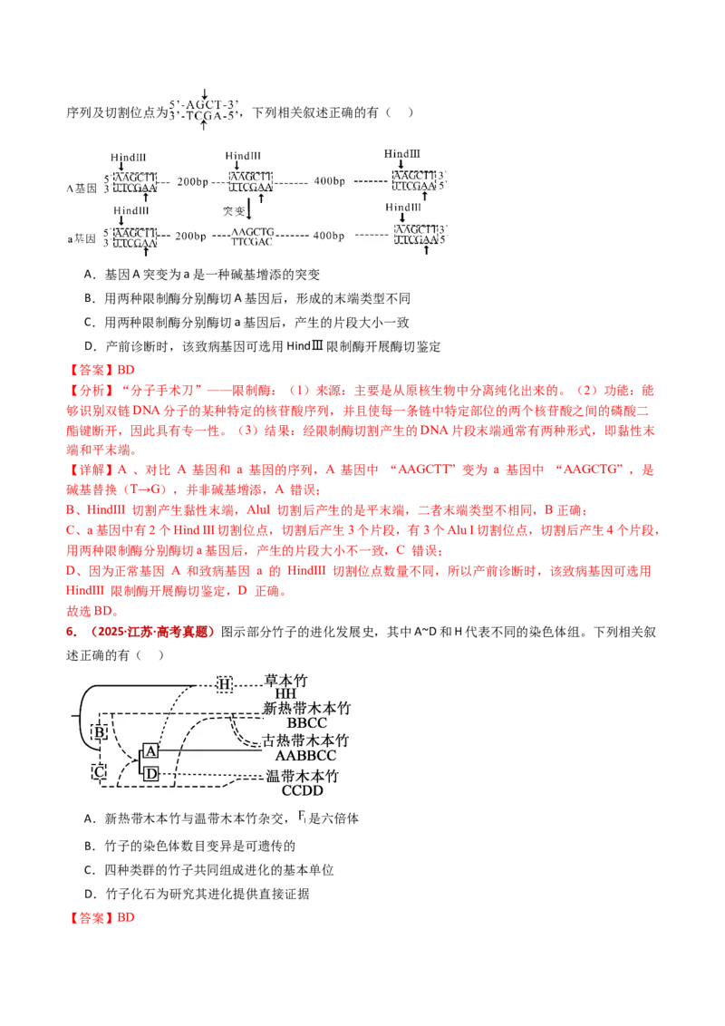 五年（2021-2025）全国高考生物真题分类汇编专题12变异、育种与进化（全国通用）（解析版）_高考真题分类汇编_高考生物真题分类汇编（全国通用）五年（2021-2025）