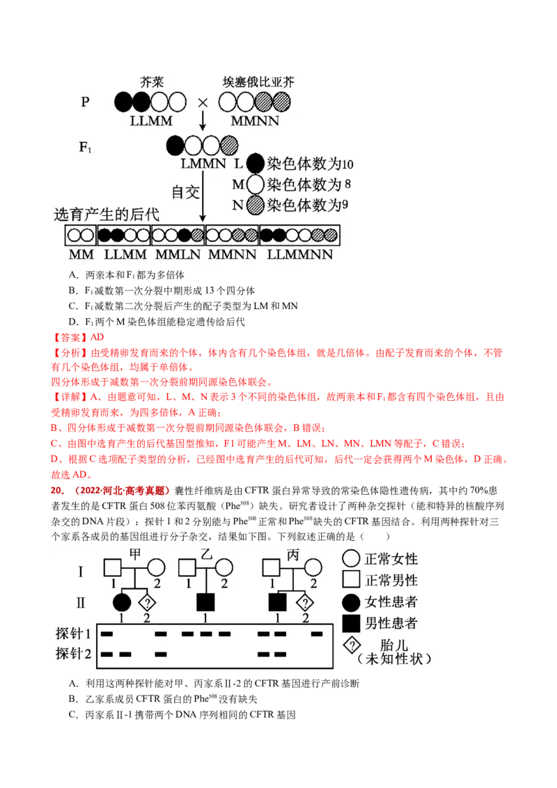 五年（2021-2025）全国高考生物真题分类汇编专题12变异、育种与进化（全国通用）（解析版）_高考真题分类汇编_高考生物真题分类汇编（全国通用）五年（2021-2025）
