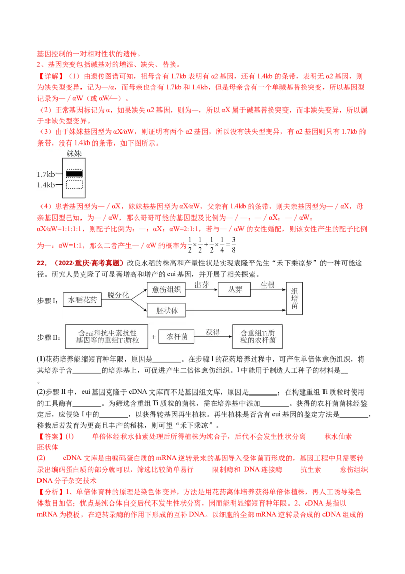 五年（2021-2025）全国高考生物真题分类汇编专题12变异、育种与进化（全国通用）（解析版）_高考真题分类汇编_高考生物真题分类汇编（全国通用）五年（2021-2025）