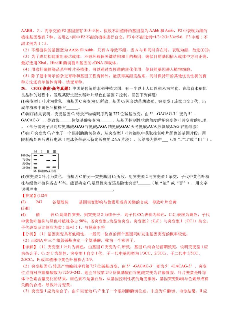 五年（2021-2025）全国高考生物真题分类汇编专题12变异、育种与进化（全国通用）（解析版）_高考真题分类汇编_高考生物真题分类汇编（全国通用）五年（2021-2025）