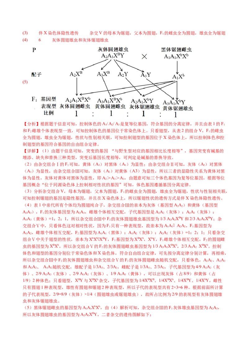 五年（2021-2025）全国高考生物真题分类汇编专题12变异、育种与进化（全国通用）（解析版）_高考真题分类汇编_高考生物真题分类汇编（全国通用）五年（2021-2025）