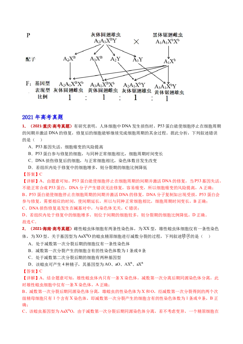 五年（2021-2025）全国高考生物真题分类汇编专题12变异、育种与进化（全国通用）（解析版）_高考真题分类汇编_高考生物真题分类汇编（全国通用）五年（2021-2025）