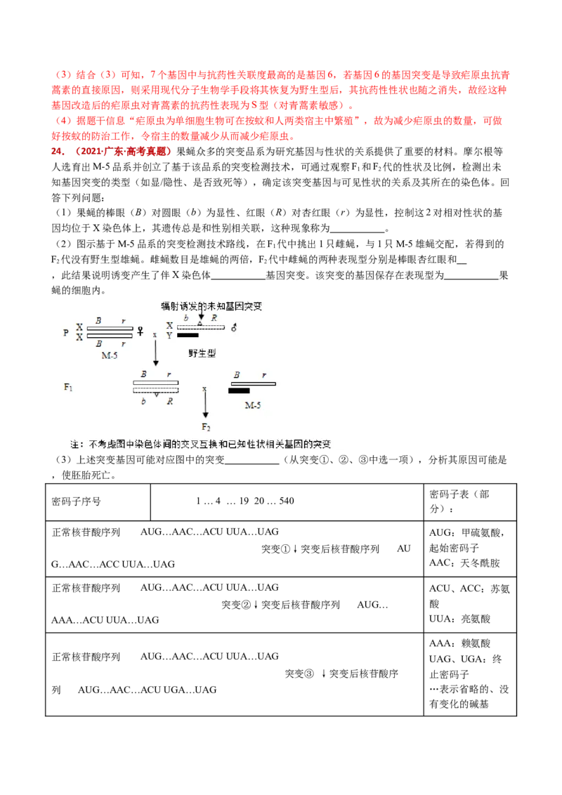 五年（2021-2025）全国高考生物真题分类汇编专题12变异、育种与进化（全国通用）（解析版）_高考真题分类汇编_高考生物真题分类汇编（全国通用）五年（2021-2025）