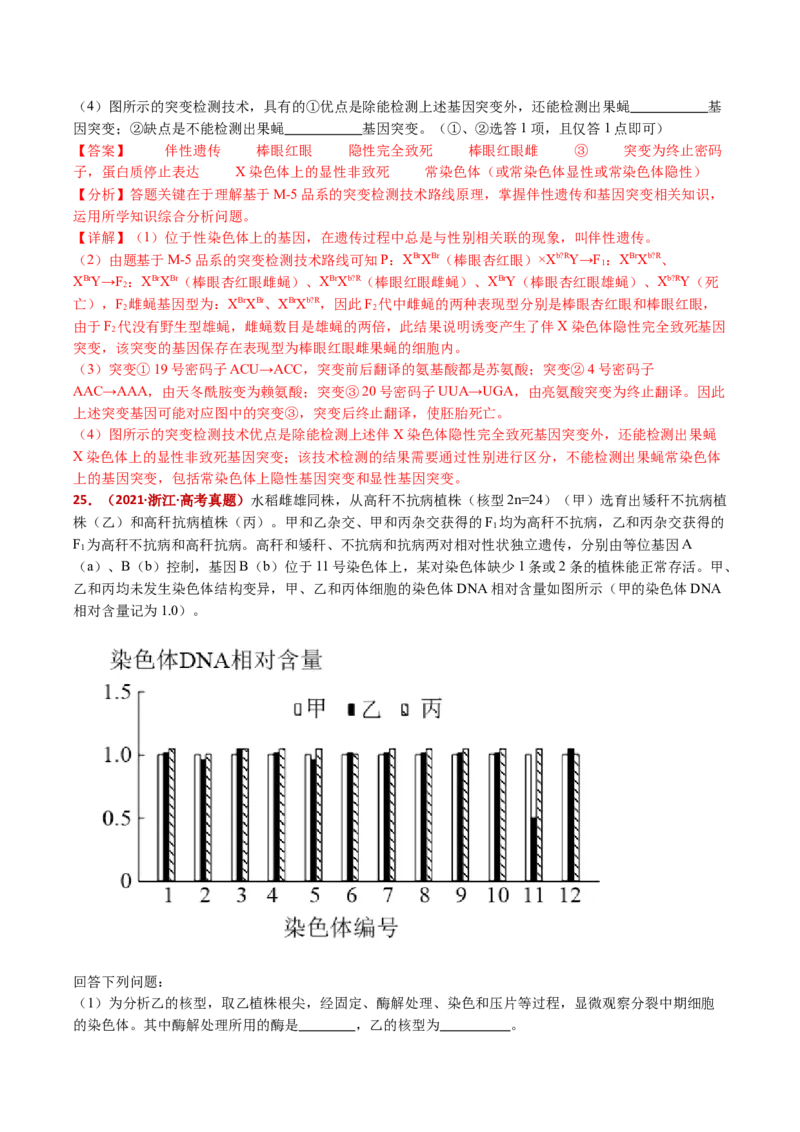 五年（2021-2025）全国高考生物真题分类汇编专题12变异、育种与进化（全国通用）（解析版）_高考真题分类汇编_高考生物真题分类汇编（全国通用）五年（2021-2025）