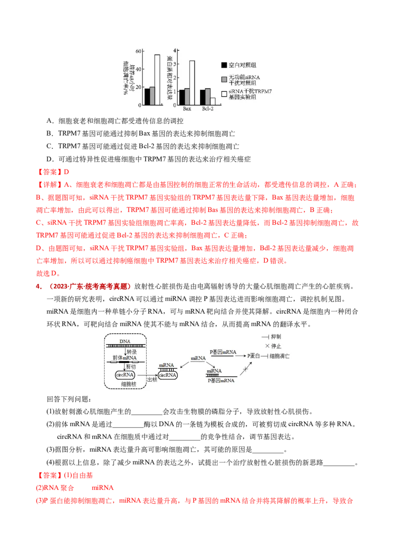 五年（2021-2025）全国高考生物真题分类汇编专题07细胞的分化、衰老、死亡及癌变（全国通用）（解析版）_高考真题分类汇编_高考生物真题分类汇编（全国通用）五年（2021-2025）