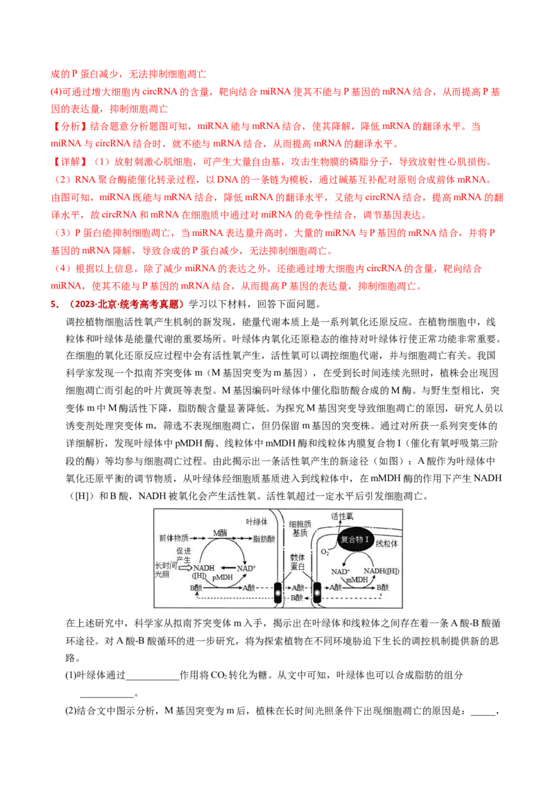五年（2021-2025）全国高考生物真题分类汇编专题07细胞的分化、衰老、死亡及癌变（全国通用）（解析版）_高考真题分类汇编_高考生物真题分类汇编（全国通用）五年（2021-2025）