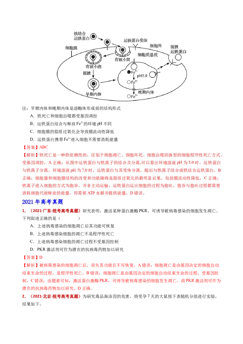 五年（2021-2025）全国高考生物真题分类汇编专题07细胞的分化、衰老、死亡及癌变（全国通用）（解析版）_高考真题分类汇编_高考生物真题分类汇编（全国通用）五年（2021-2025）