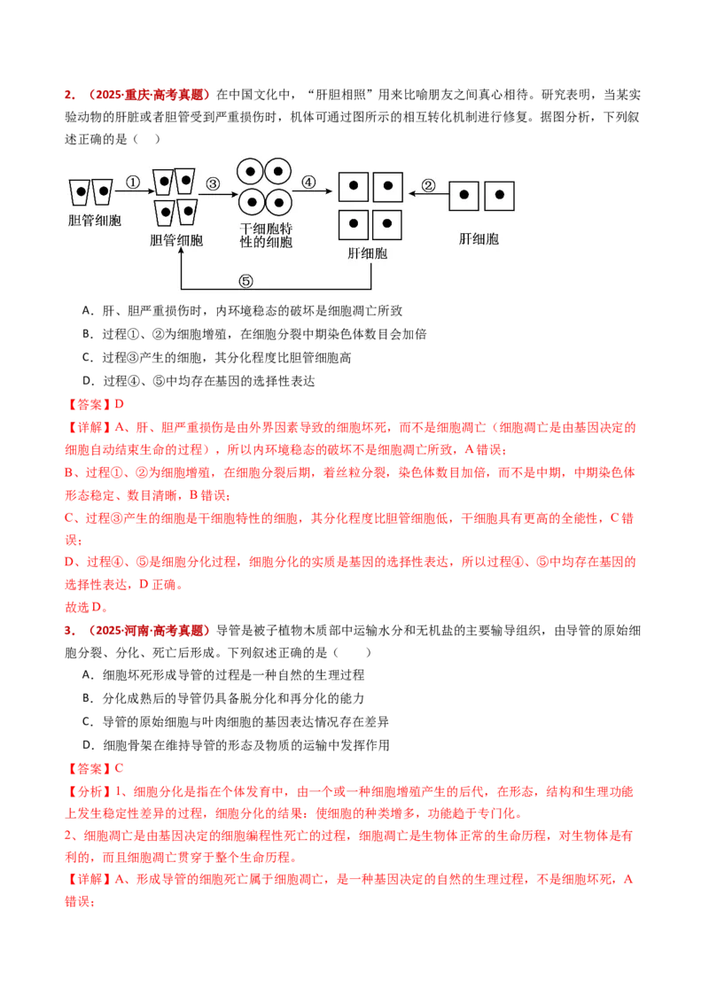 五年（2021-2025）全国高考生物真题分类汇编专题07细胞的分化、衰老、死亡及癌变（全国通用）（解析版）_高考真题分类汇编_高考生物真题分类汇编（全国通用）五年（2021-2025）