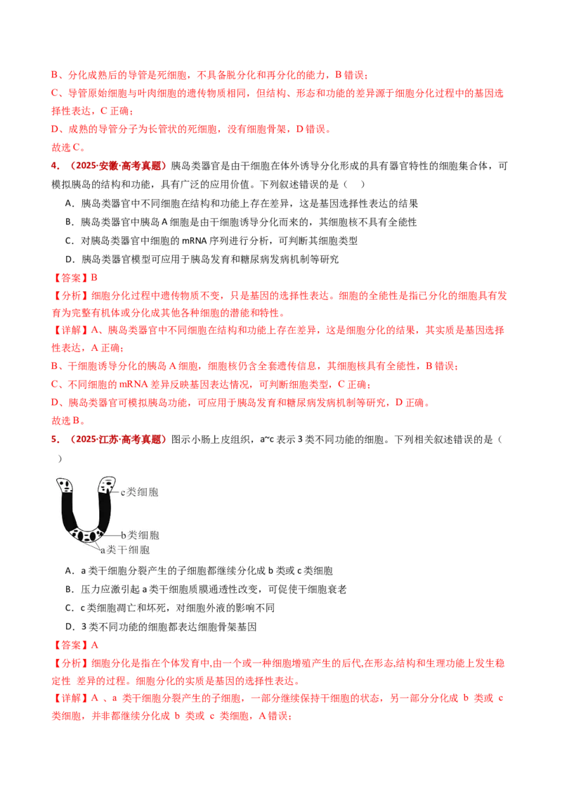 五年（2021-2025）全国高考生物真题分类汇编专题07细胞的分化、衰老、死亡及癌变（全国通用）（解析版）_高考真题分类汇编_高考生物真题分类汇编（全国通用）五年（2021-2025）