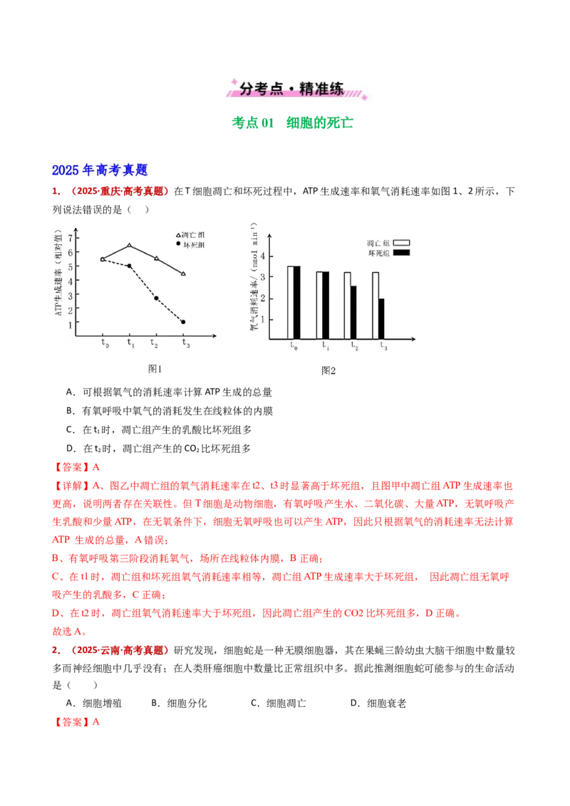 五年（2021-2025）全国高考生物真题分类汇编专题07细胞的分化、衰老、死亡及癌变（全国通用）（解析版）_高考真题分类汇编_高考生物真题分类汇编（全国通用）五年（2021-2025）