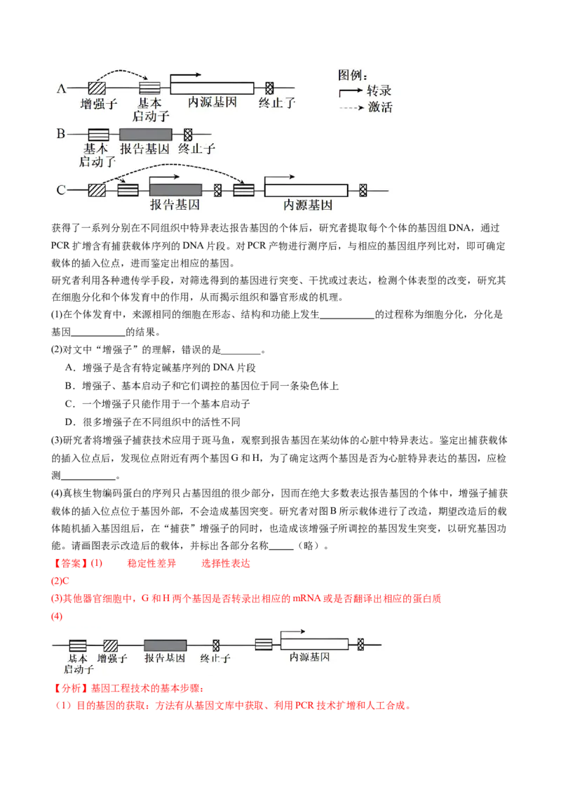 五年（2021-2025）全国高考生物真题分类汇编专题07细胞的分化、衰老、死亡及癌变（全国通用）（解析版）_高考真题分类汇编_高考生物真题分类汇编（全国通用）五年（2021-2025）
