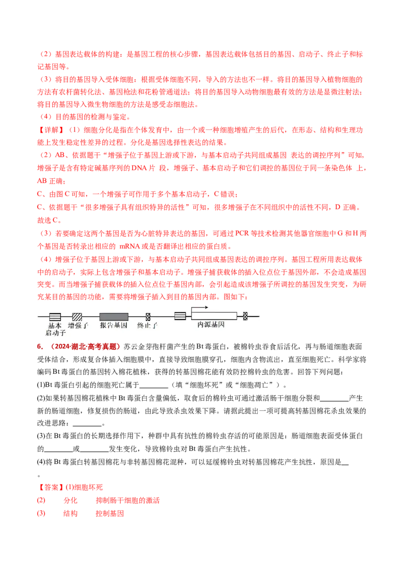 五年（2021-2025）全国高考生物真题分类汇编专题07细胞的分化、衰老、死亡及癌变（全国通用）（解析版）_高考真题分类汇编_高考生物真题分类汇编（全国通用）五年（2021-2025）