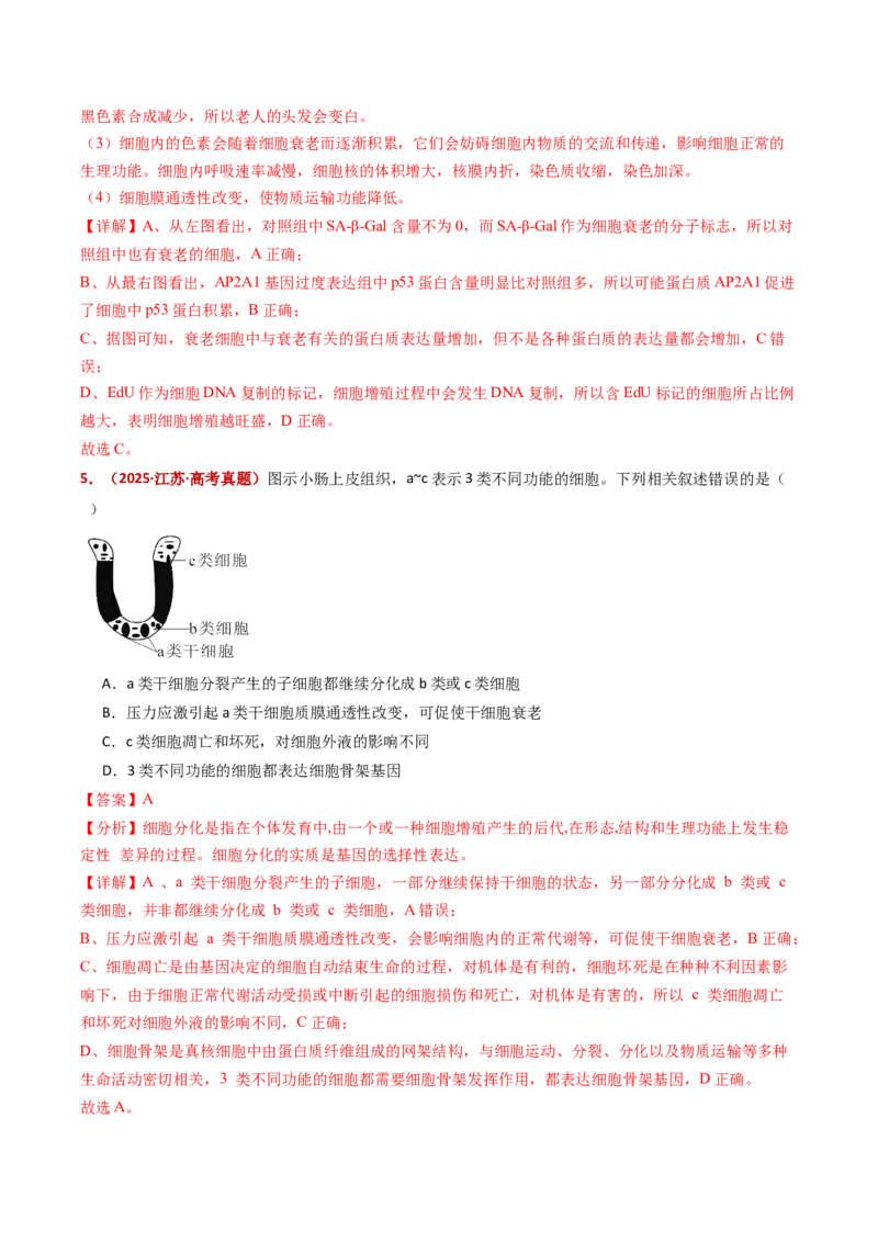 五年（2021-2025）全国高考生物真题分类汇编专题07细胞的分化、衰老、死亡及癌变（全国通用）（解析版）_高考真题分类汇编_高考生物真题分类汇编（全国通用）五年（2021-2025）