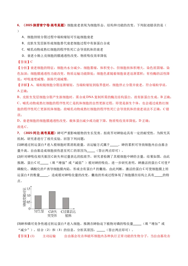 五年（2021-2025）全国高考生物真题分类汇编专题07细胞的分化、衰老、死亡及癌变（全国通用）（解析版）_高考真题分类汇编_高考生物真题分类汇编（全国通用）五年（2021-2025）