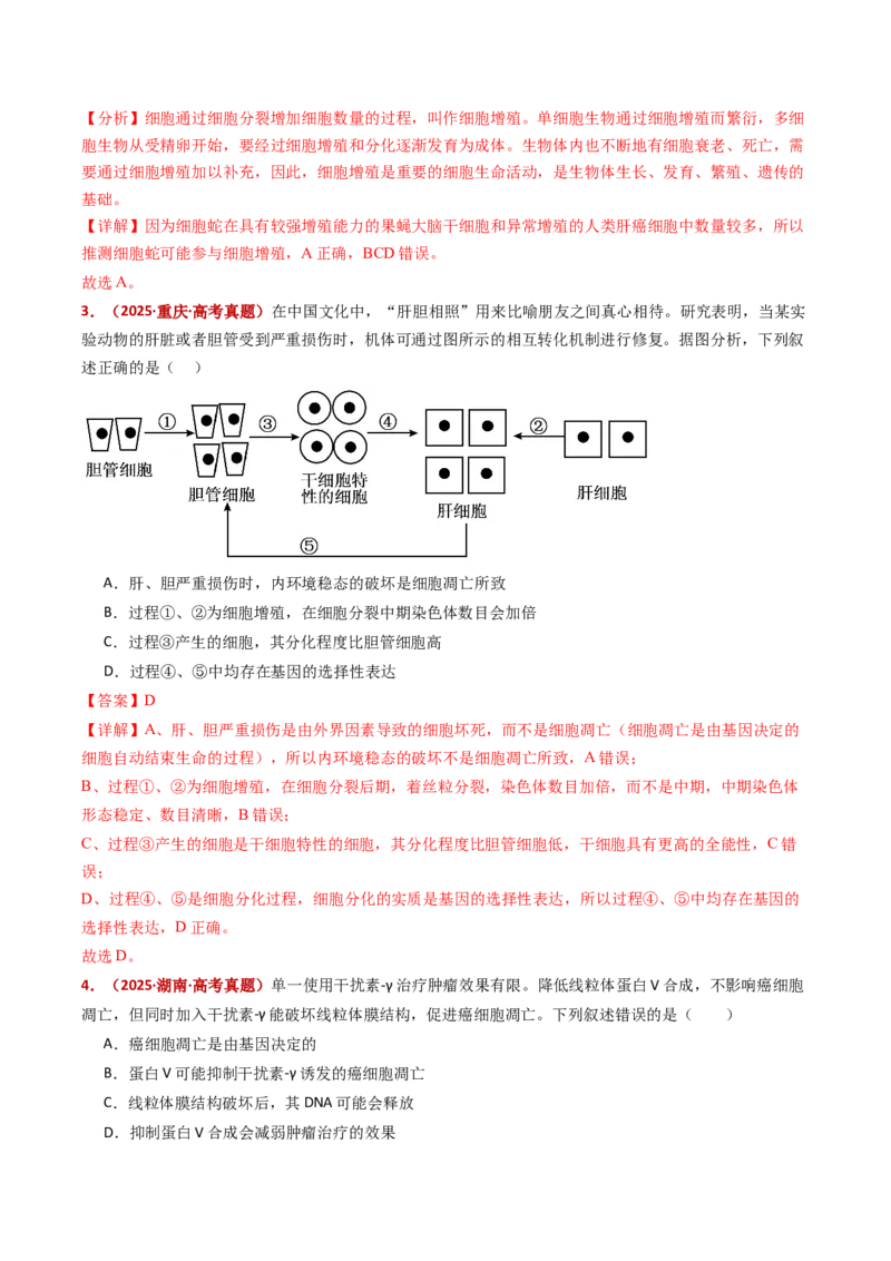 五年（2021-2025）全国高考生物真题分类汇编专题07细胞的分化、衰老、死亡及癌变（全国通用）（解析版）_高考真题分类汇编_高考生物真题分类汇编（全国通用）五年（2021-2025）