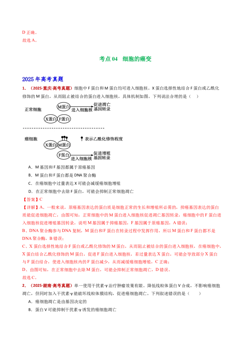 五年（2021-2025）全国高考生物真题分类汇编专题07细胞的分化、衰老、死亡及癌变（全国通用）（解析版）_高考真题分类汇编_高考生物真题分类汇编（全国通用）五年（2021-2025）
