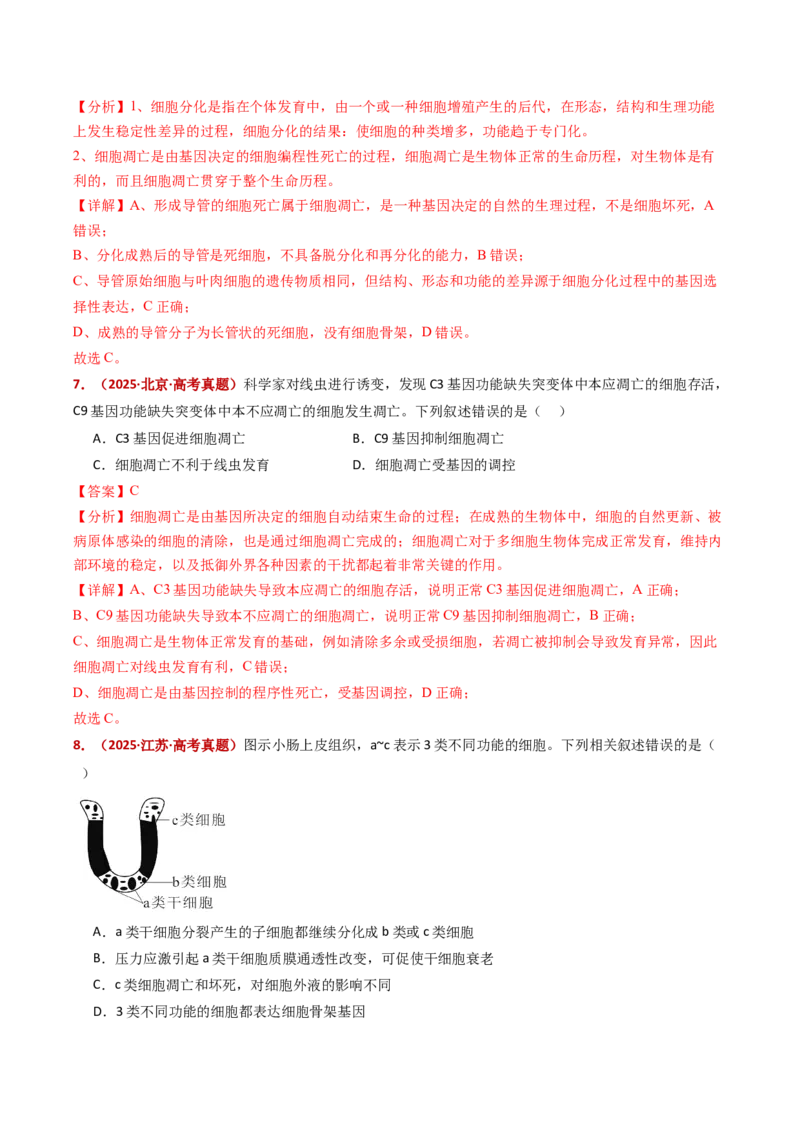 五年（2021-2025）全国高考生物真题分类汇编专题07细胞的分化、衰老、死亡及癌变（全国通用）（解析版）_高考真题分类汇编_高考生物真题分类汇编（全国通用）五年（2021-2025）