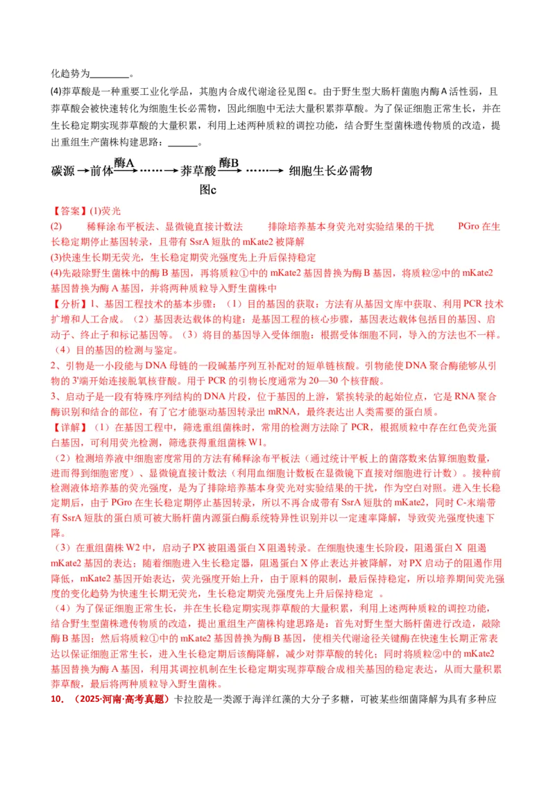 五年（2021-2025）全国高考生物真题分类汇编专题22基因工程（全国通用）（解析版）_高考真题分类汇编_高考生物真题分类汇编（全国通用）五年（2021-2025）
