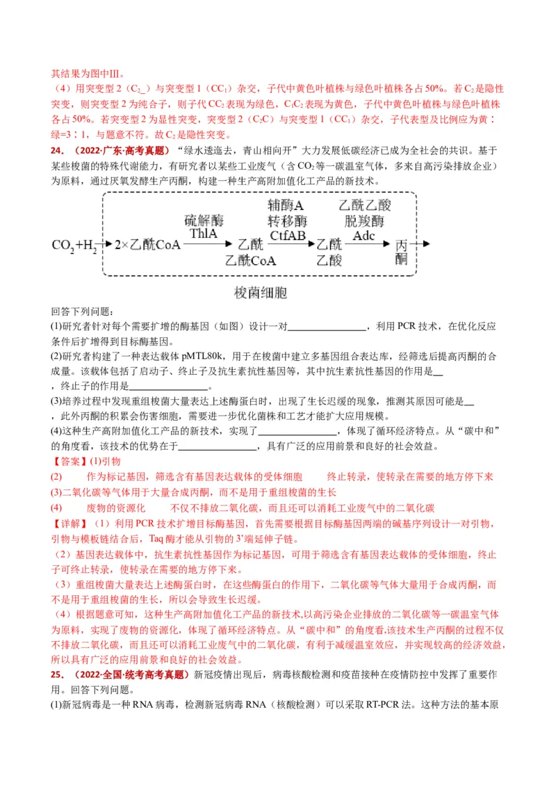 五年（2021-2025）全国高考生物真题分类汇编专题22基因工程（全国通用）（解析版）_高考真题分类汇编_高考生物真题分类汇编（全国通用）五年（2021-2025）