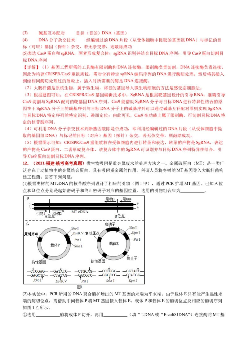 五年（2021-2025）全国高考生物真题分类汇编专题22基因工程（全国通用）（解析版）_高考真题分类汇编_高考生物真题分类汇编（全国通用）五年（2021-2025）
