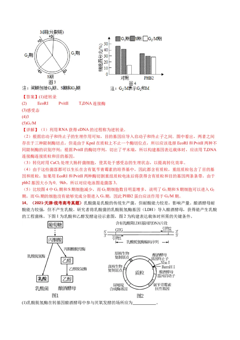 五年（2021-2025）全国高考生物真题分类汇编专题22基因工程（全国通用）（解析版）_高考真题分类汇编_高考生物真题分类汇编（全国通用）五年（2021-2025）