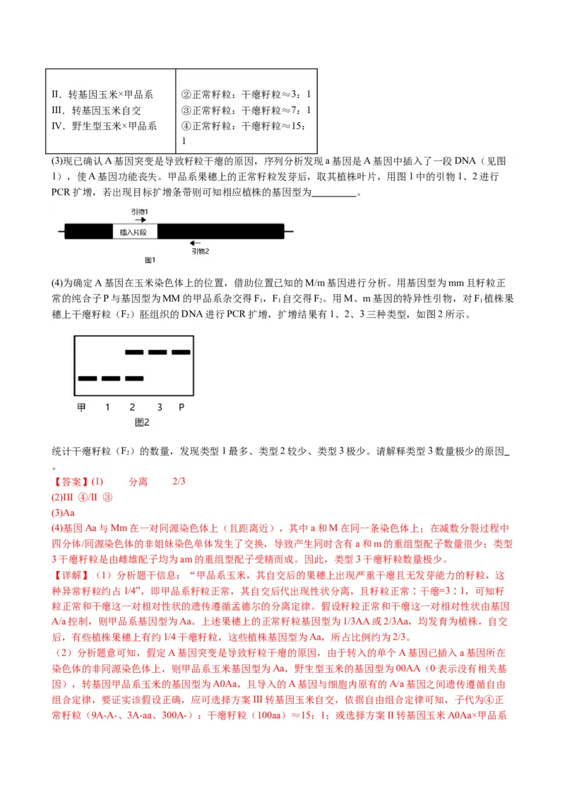 五年（2021-2025）全国高考生物真题分类汇编专题22基因工程（全国通用）（解析版）_高考真题分类汇编_高考生物真题分类汇编（全国通用）五年（2021-2025）