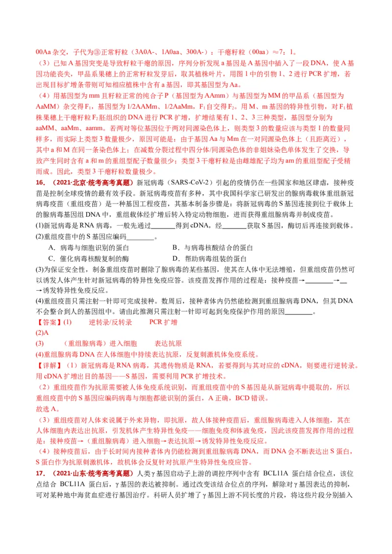 五年（2021-2025）全国高考生物真题分类汇编专题22基因工程（全国通用）（解析版）_高考真题分类汇编_高考生物真题分类汇编（全国通用）五年（2021-2025）