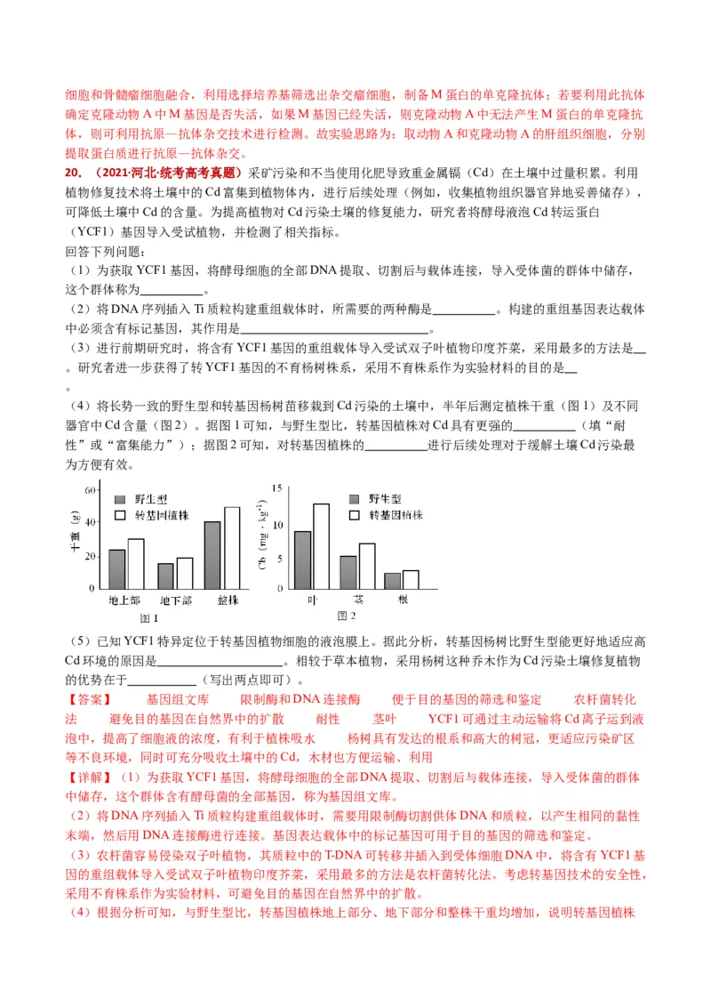五年（2021-2025）全国高考生物真题分类汇编专题22基因工程（全国通用）（解析版）_高考真题分类汇编_高考生物真题分类汇编（全国通用）五年（2021-2025）
