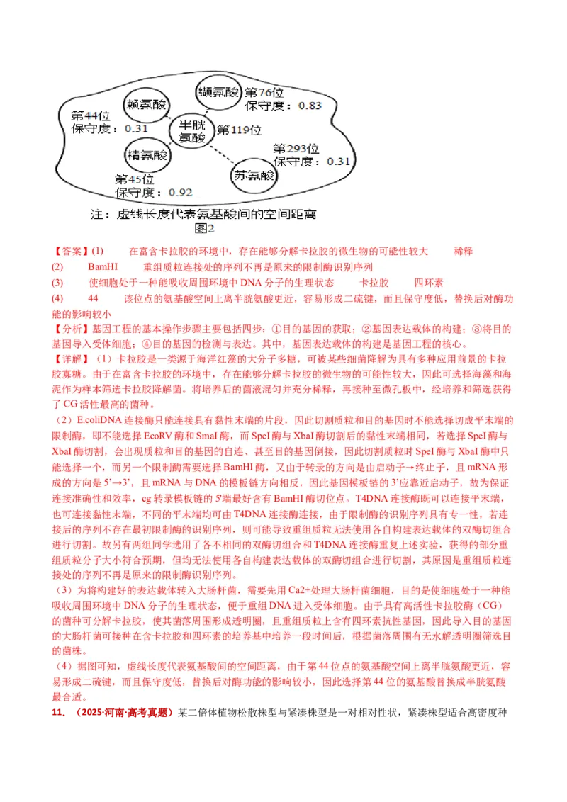 五年（2021-2025）全国高考生物真题分类汇编专题22基因工程（全国通用）（解析版）_高考真题分类汇编_高考生物真题分类汇编（全国通用）五年（2021-2025）