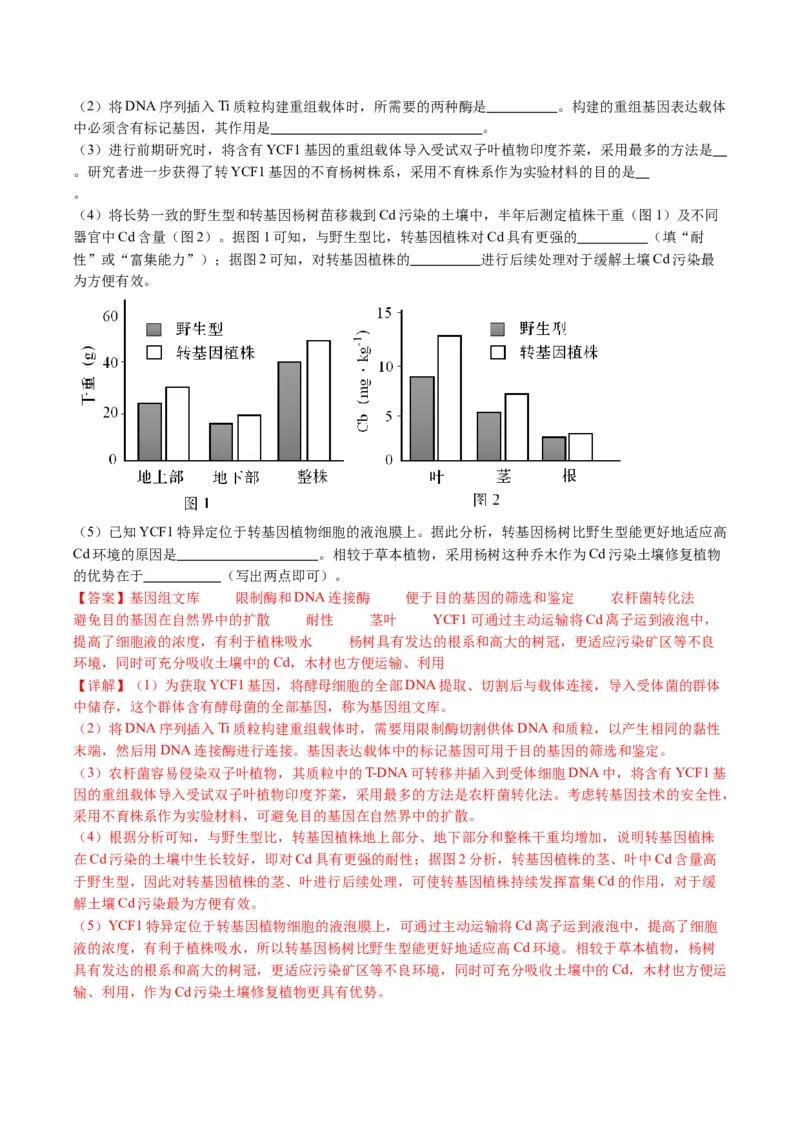 五年（2021-2025）全国高考生物真题分类汇编专题22基因工程（全国通用）（解析版）_高考真题分类汇编_高考生物真题分类汇编（全国通用）五年（2021-2025）