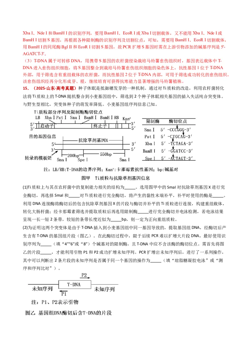 五年（2021-2025）全国高考生物真题分类汇编专题22基因工程（全国通用）（解析版）_高考真题分类汇编_高考生物真题分类汇编（全国通用）五年（2021-2025）