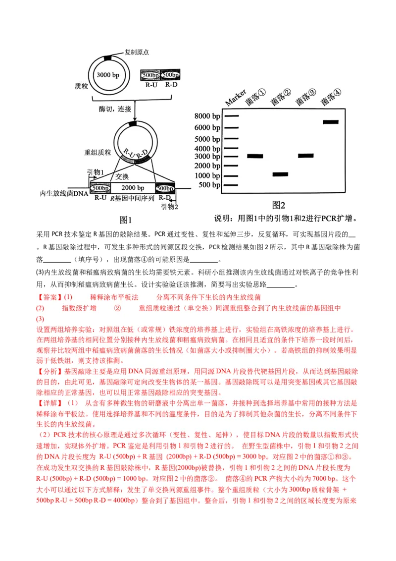 五年（2021-2025）全国高考生物真题分类汇编专题22基因工程（全国通用）（解析版）_高考真题分类汇编_高考生物真题分类汇编（全国通用）五年（2021-2025）