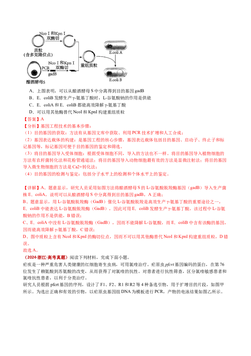 五年（2021-2025）全国高考生物真题分类汇编专题22基因工程（全国通用）（解析版）_高考真题分类汇编_高考生物真题分类汇编（全国通用）五年（2021-2025）